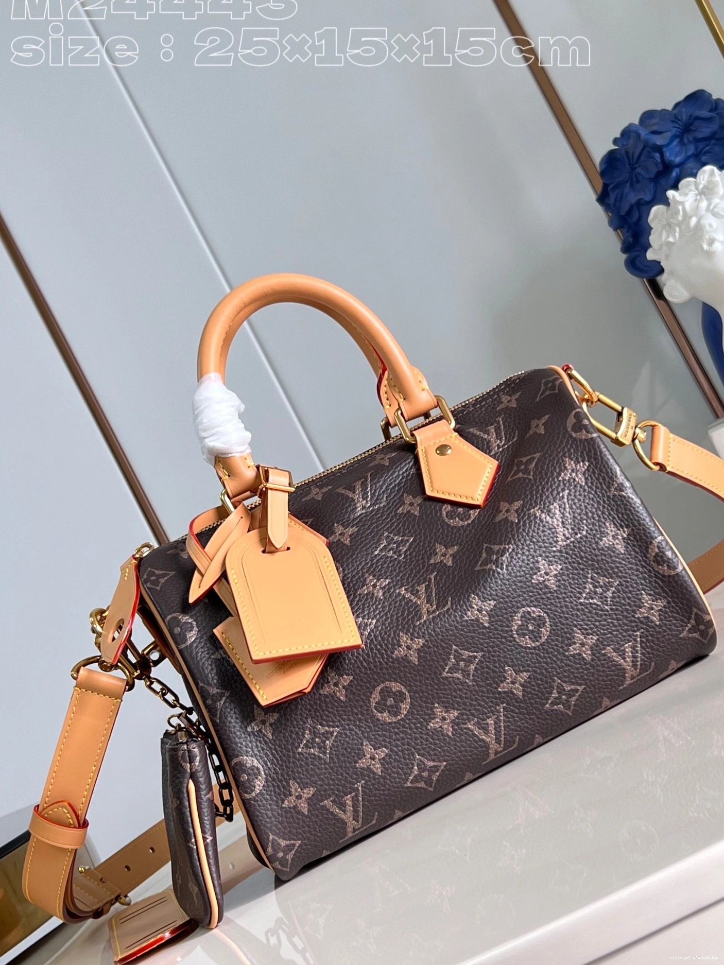 SPEEDY Louis Vuitton 25 0815